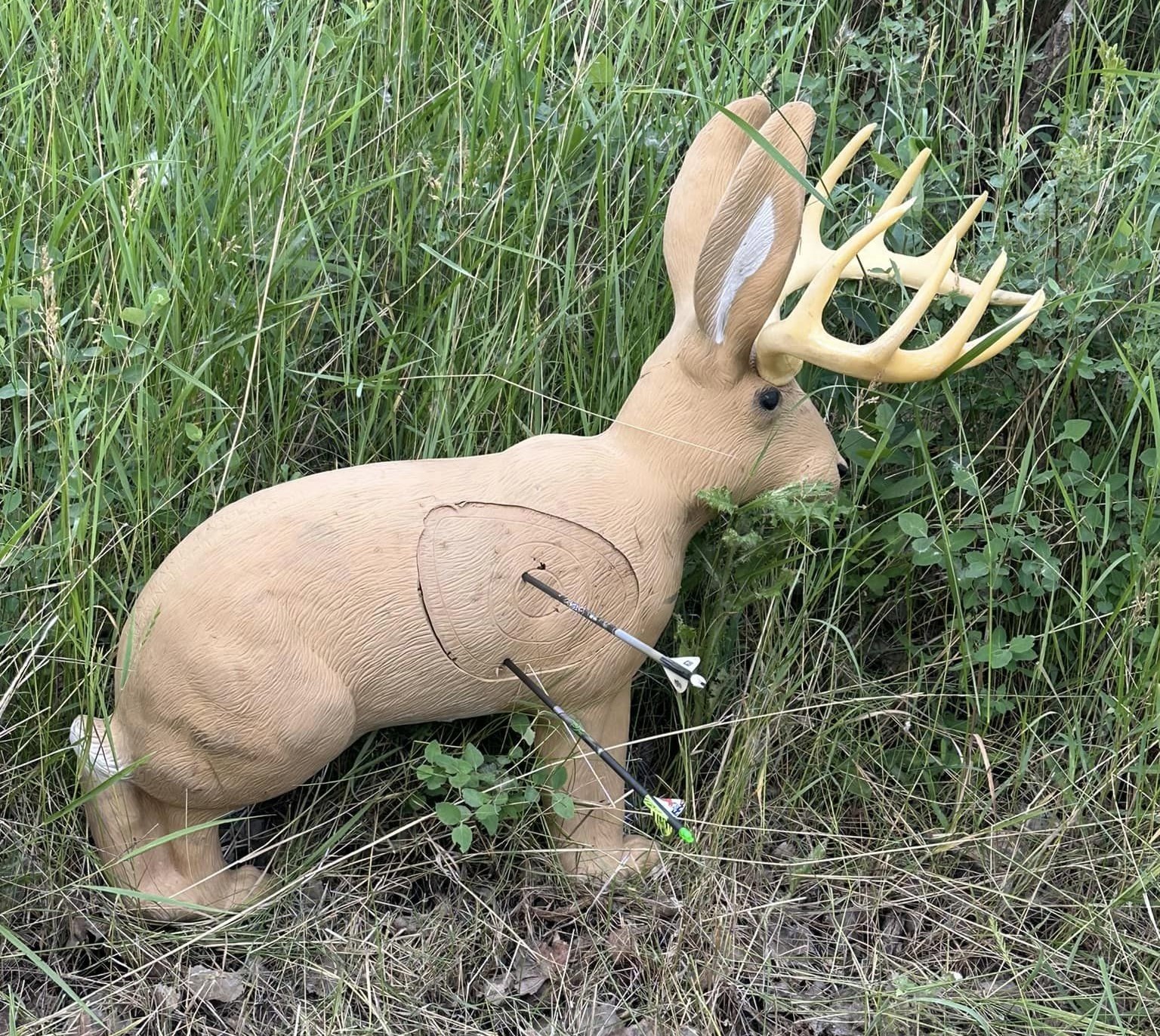 3D ARCHERY Custer Rod and Gun Club